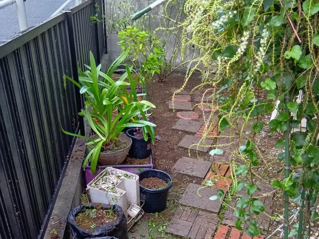 女性スタッフの同行OK◎作業外注一切なし◎当社スタッフがすべてご対応！サービスの画像