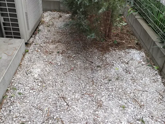 女性スタッフの同行OK◎作業外注一切なし◎当社スタッフがすべてご対応！サービスの画像