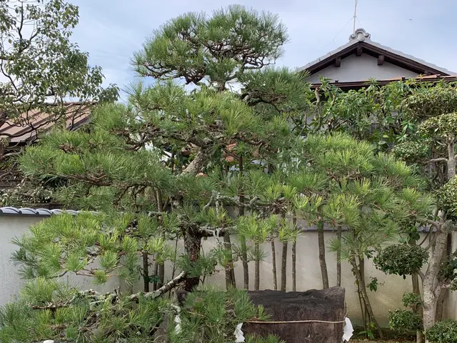 奈良県を中心に、親切・丁寧な仕事を心がけております！営業時間外も相談可能◎サービスの画像