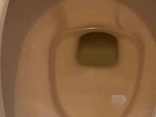 ◎専用洗剤使用 ◎ハウスクリーニング士 ◎山梨ミクロクリーニングサービスの画像