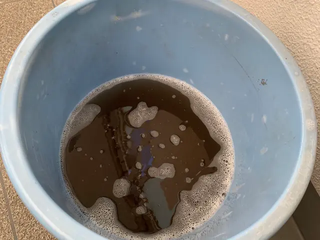 現金払いの方抗菌コーティング一台無料　複数台割有り　駐車料金負担なしサービスの画像