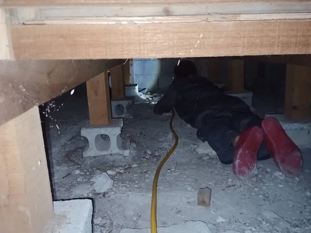 シロアリの巣ごと駆除します！！人体やペットにも安心、安全な薬剤で5年保証！サービスの画像