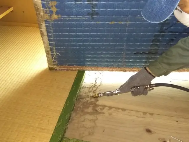 シロアリの巣ごと駆除します！！人体やペットにも安心、安全な薬剤で5年保証！サービスの画像