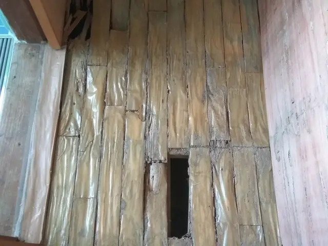 シロアリの巣ごと駆除します！！人体やペットにも安心、安全な薬剤で5年保証！サービスの画像