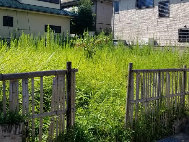 造園施工管理技師・庭園デザイナー業歴30年サービスの画像