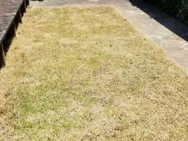 造園施工管理技師・庭園デザイナー業歴30年サービスの画像