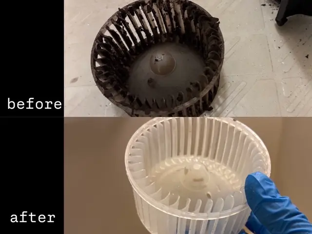 ★新座市中心に活動中★住まいをリフレッシュ★引っ越し前後クリーニング★サービスの画像