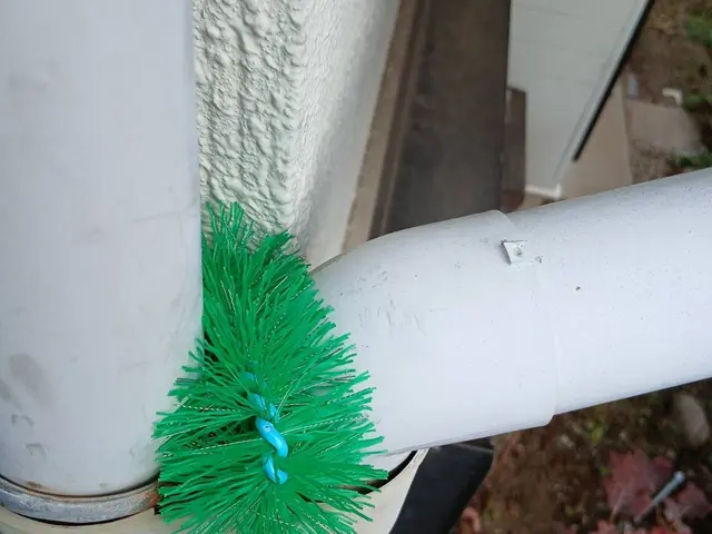 大手仕込みの技術と少数精鋭で、質にこだわるネズミ駆除の専門店サービスの画像