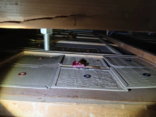 大手仕込みの技術と少数精鋭で、質にこだわるネズミ駆除の専門店サービスの画像