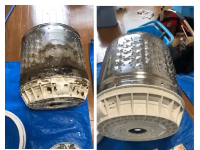 損保加入済。即日対応。縦型洗濯機全メーカー対応。完全分解、黒カビ除去サービスの画像