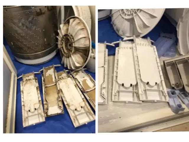 損保加入済。即日対応。縦型洗濯機全メーカー対応。完全分解、黒カビ除去サービスの画像