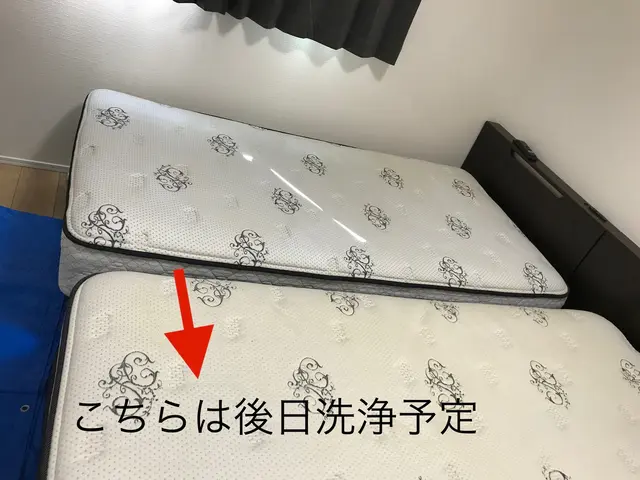 マットレス9月から値上げ？新品のように蘇る！★難易度高い嘔吐、粗相無料★高洗浄サービスの画像