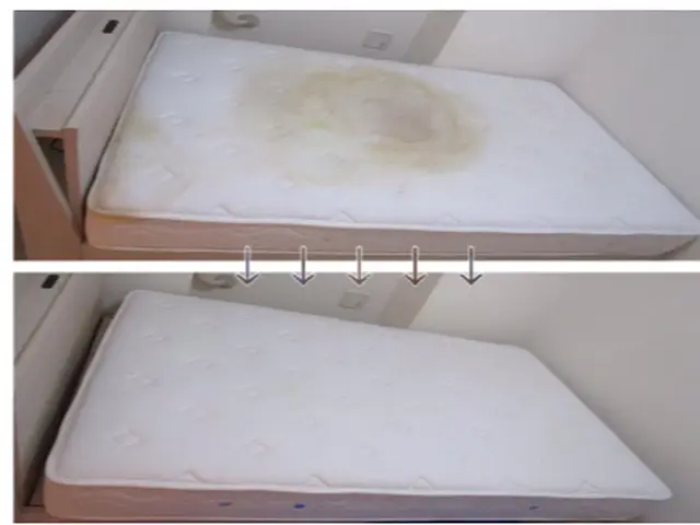 マットレス9月から値上げ？新品のように蘇る！★難易度高い嘔吐、粗相無料★高洗浄サービスの画像