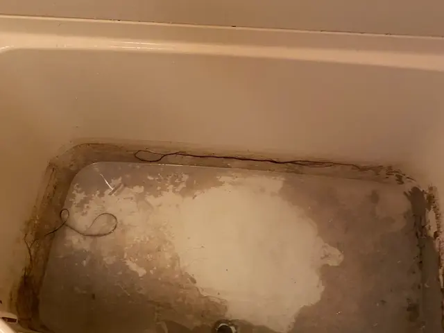 【除菌、エコ洗剤無料】カビ、水垢、皮脂汚れ除去◆完全自社対応◆オンライン決済可サービスの画像