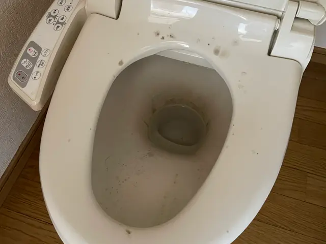 【3歳の娘パパ店長】安心の損害保険加入済◉大手経験あり★丁寧な説明で不安解消♬サービスの画像