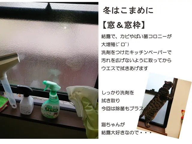 ★家事代行moco★ 1ｈ3,300円(※)から　整理収納・お掃除その他承りますサービスの画像