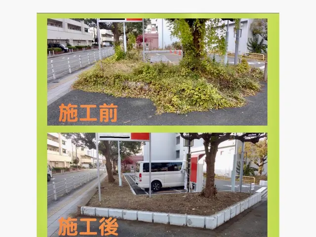 「グリーンエスペランカー前田」空師.庭師.造園技能士. 複数本割引致します。サービスの画像