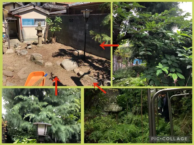 「グリーンエスペランカー前田」空師.庭師.造園技能士. 複数本割引致します。サービスの画像