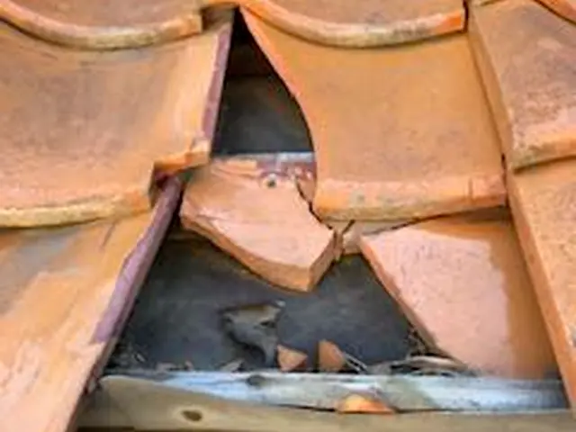 【☆強風雨などの屋根被害多数！☆】雨漏り・しっくい・瓦割れ・瓦ずれ・棟板金サービスの画像