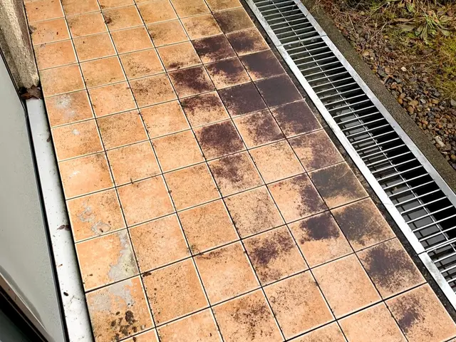 ガンコなカビ・コケなども高圧洗浄機でピカピカ！土・日曜日も休まず営業しています。サービスの画像