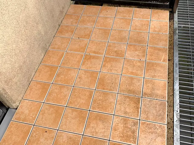 ガンコなカビ・コケなども高圧洗浄機でピカピカ！土・日曜日も休まず営業しています。サービスの画像