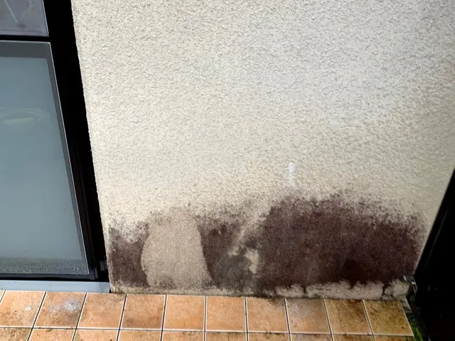 ガンコなカビ・コケなども高圧洗浄機でピカピカ！土・日曜日も休まず営業しています。サービスの画像