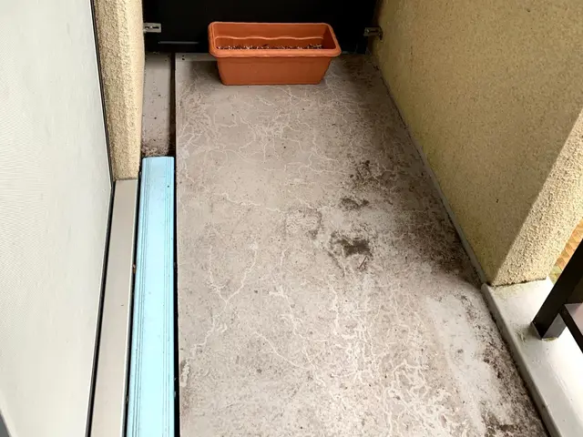 ガンコなカビ・コケなども高圧洗浄機でピカピカ！土・日曜日も休まず営業しています。サービスの画像