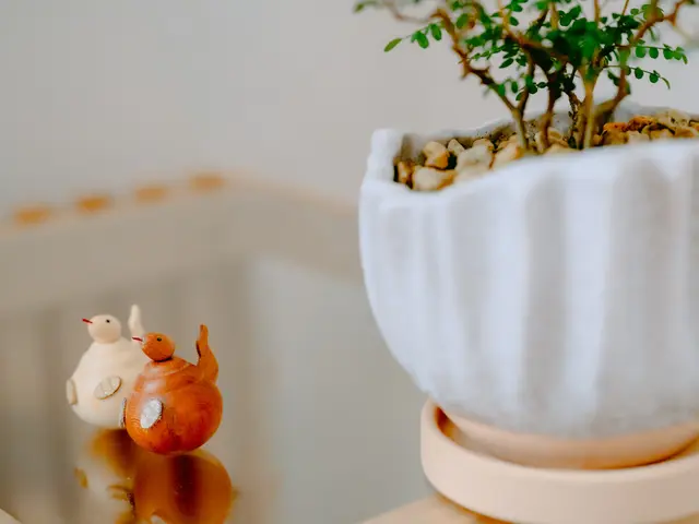 水・金曜対応中！【ママさんカメラマンが伺います！】自然な笑顔を引き出します