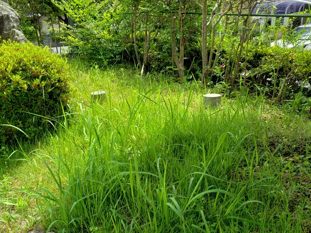 ◎猛暑の前にお掃除を◎経験豊富◎親切、丁寧、安心をモットーに。サービスの画像