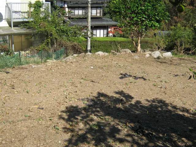 ◆【空き地】の「雑草」や「樹木」綺麗に処理！◆【竹林】も対応！◆見違えます！サービスの画像