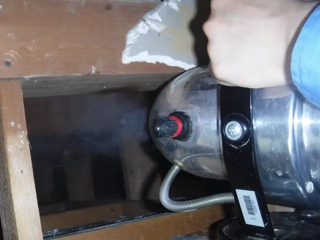 豊富な経験で安心◎ 専門知識を持ったスタッフが害虫害獣のトラブルを解決します！サービスの画像