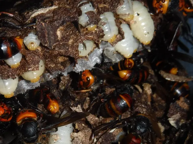 【動物のことなら何でも相談！】静岡県中部地区密着◎2024新規開店お祝い価格！サービスの画像