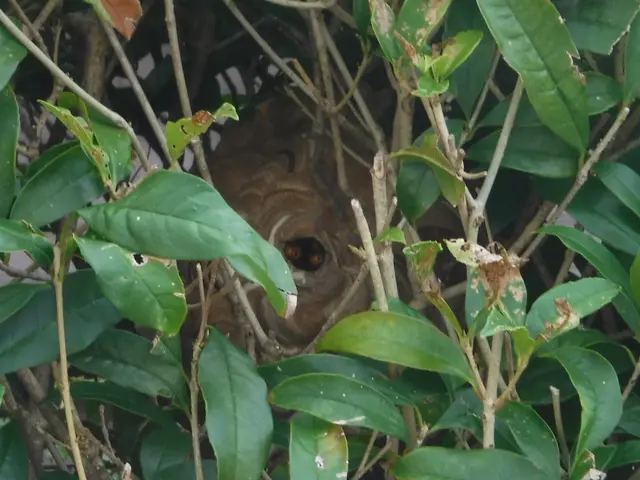 【動物のことなら何でも相談！】静岡県中部地区密着◎2024新規開店お祝い価格！サービスの画像