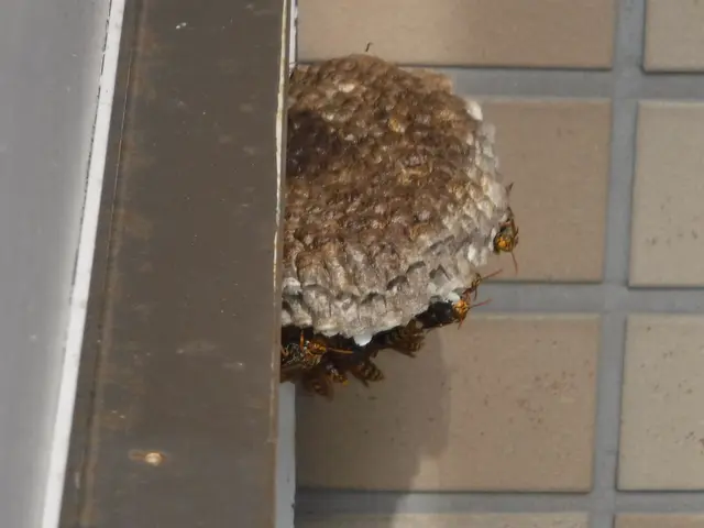 【動物のことなら何でも相談！】静岡県中部地区密着◎2024新規開店お祝い価格！サービスの画像