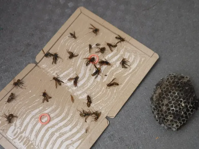 【動物のことなら何でも相談！】静岡県中部地区密着◎2024新規開店お祝い価格！サービスの画像