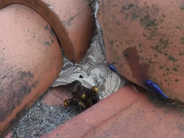 【動物のことなら何でも相談！】静岡県中部地区密着◎2024新規開店お祝い価格！サービスの画像