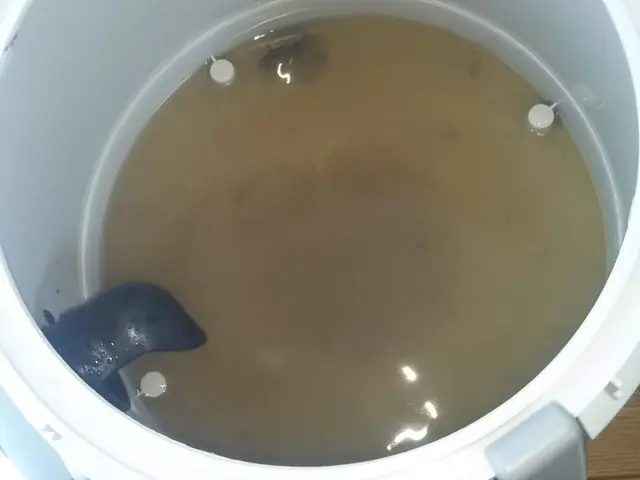 【年中無休】土日祝もご予約歓迎！★安心のエコ洗剤使用★損害保険加入店★サービスの画像