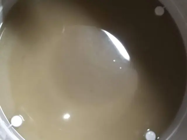 【年中無休】土日祝もご予約歓迎！★安心のエコ洗剤使用★損害保険加入店★サービスの画像