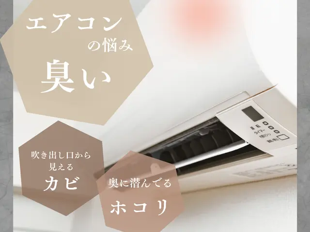 ★10月限定キャンペーン★ノーマル６,６００円！お掃除機能付き１１,０００円！サービスの画像
