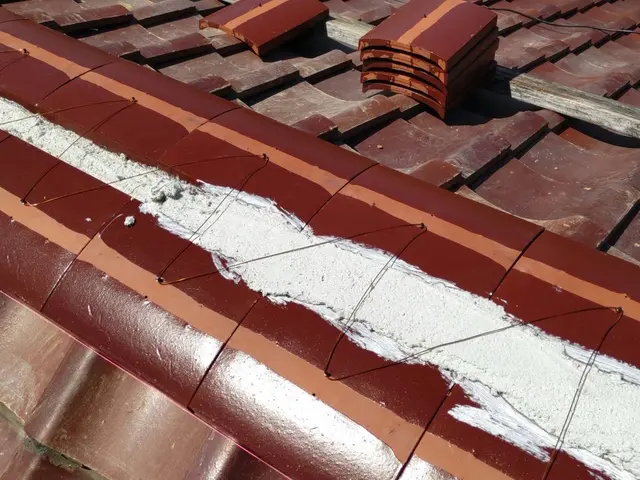 ルーフクラフトマン大野サービスの画像