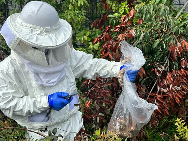 作業外注一切なし◎高い技術力でスピード解決！当店へお任せください！サービスの画像