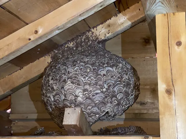 作業外注一切なし◎高い技術力でスピード解決！当店へお任せください！サービスの画像