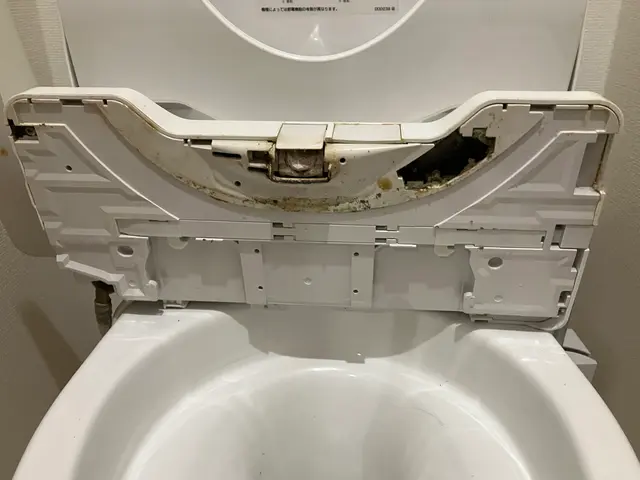 年末SALE中★高座郡寒川町発★除菌！消毒！トイレの隅々の汚れまでキレイに！サービスの画像