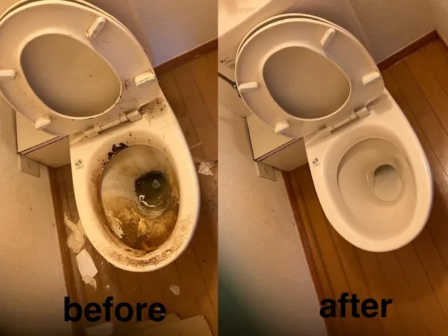 ★高座郡寒川町発★除菌！消毒！トイレの隅々の汚れまでキレイに！サービスの画像