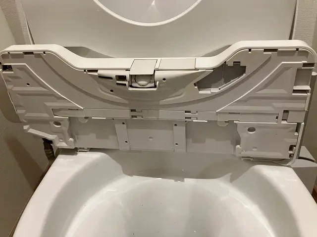 年末SALE中★高座郡寒川町発★除菌！消毒！トイレの隅々の汚れまでキレイに！サービスの画像