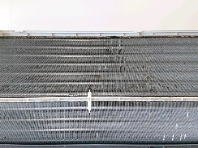 『非喫煙者』『マスク着用』『スリッパ持参』『損害賠償保険加入』サービスの画像