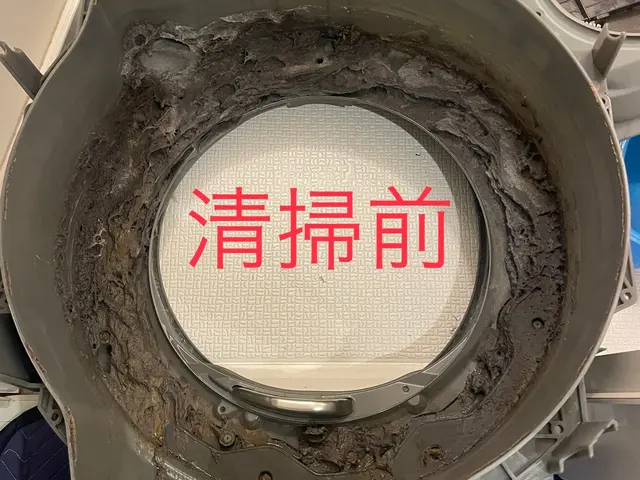 ドラム式洗濯機の清掃・修理専門店｜乾燥不良・臭い・排水異常・落下物・点検にも対応サービスの画像