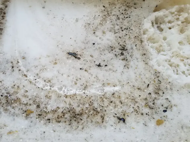 追い焚き配管洗浄！2つ穴にも対応！レジオネラ菌などの雑菌、汚れ、悪臭を一掃!!サービスの画像