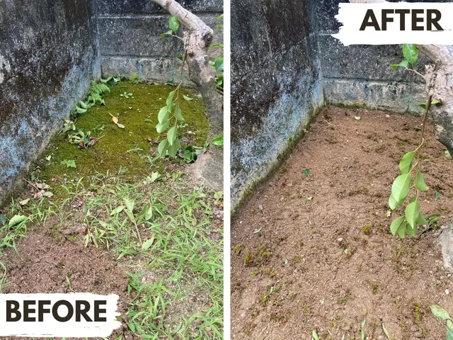 【新規特別価格】岡山在住の5児パパが根っこから草抜き&草刈りサービスの画像