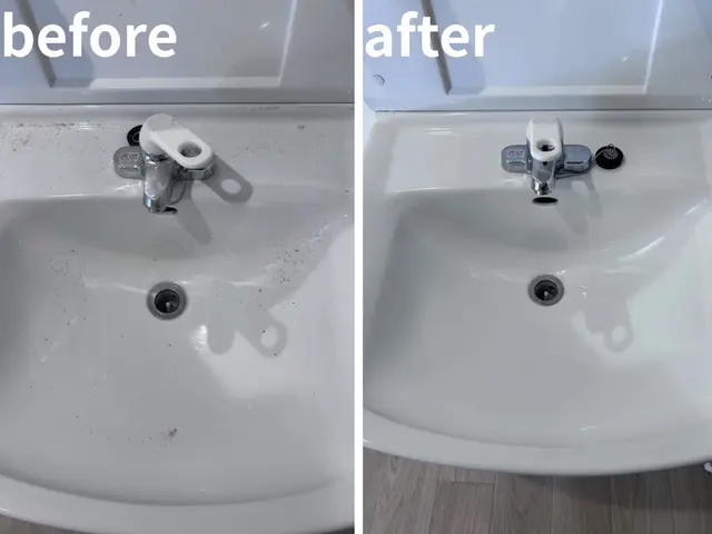 【経験24年の実績】ペット赤ちゃん◎コロナ対策強化中　クレカジット可◎サービスの画像